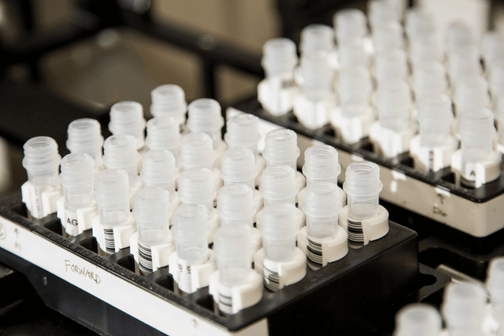 Biotech lab vials used in biochemical research and data protection

